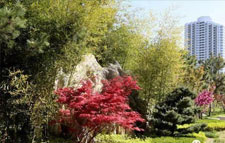 又是一年春來到，長城文華花苑邀您賞春洗肺